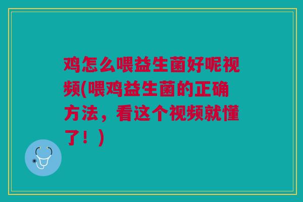 鸡怎么喂益生菌好呢视频(喂鸡益生菌的正确方法,看这个视频就懂了!)