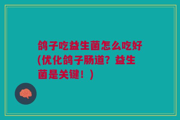 鸽子吃益生菌怎么吃好(优化鸽子肠道?益生菌是关键!)