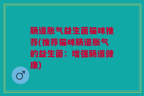 肠道胀气益生菌猫咪推荐(推荐猫咪肠道胀气的益生菌:增强肠道健康)