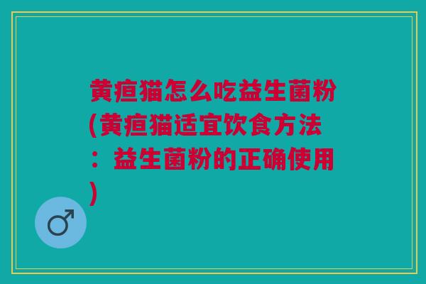 黄疸猫怎么吃益生菌粉(黄疸猫适宜饮食方法:益生菌粉的正确使用)
