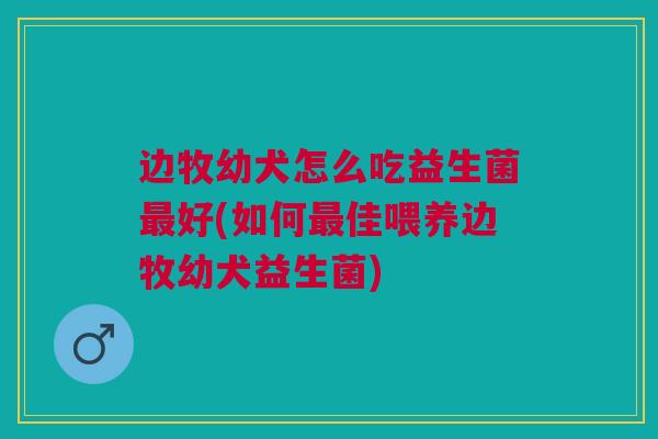 边牧幼犬怎么吃益生菌好(如何佳喂养边牧幼犬益生菌) 边牧幼犬怎么吃益生菌好(如何佳喂养边牧幼犬益生菌)