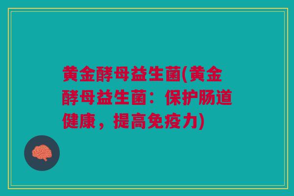 黄金酵母益生菌(黄金酵母益生菌:保护肠道健康,提高免疫力)