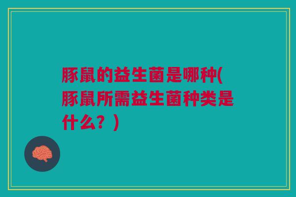 豚鼠的益生菌是哪种(豚鼠所需益生菌种类是什么?) 豚鼠的益生菌是哪种(豚鼠所需益生菌种类是什么?)
