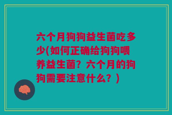 六个月狗狗益生菌吃多少(如何正确给狗狗喂养益生菌?六个月的狗狗需要注意什么?)