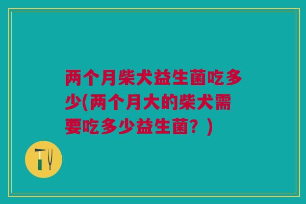 两个月柴犬益生菌吃多少(两个月大的柴犬需要吃多少益生菌？)