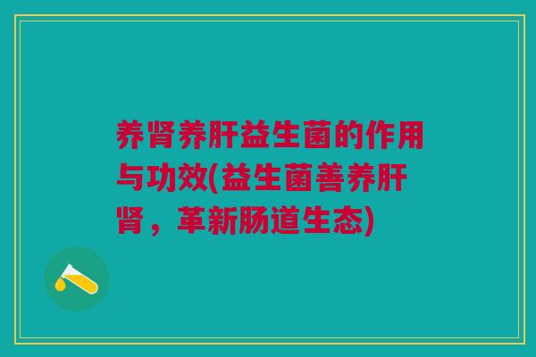 养肾养肝益生菌的作用与功效(益生菌善养肝肾,革新肠道生态)