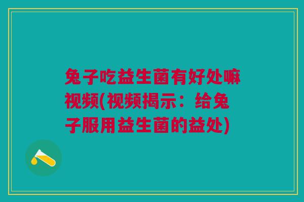 兔子吃益生菌有好处嘛视频(视频揭示:给兔子服用益生菌的益处)