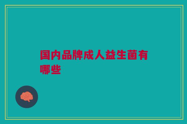 国内品牌成人益生菌有哪些