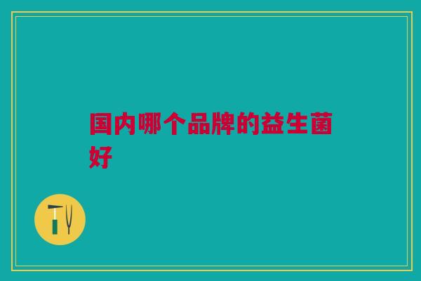 国内哪个品牌的益生菌好