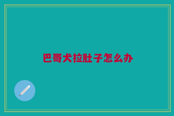 巴哥犬拉肚子怎么办