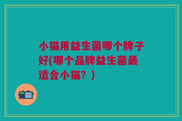 小猫用益生菌哪个牌子好(哪个品牌益生菌最适合小猫？)