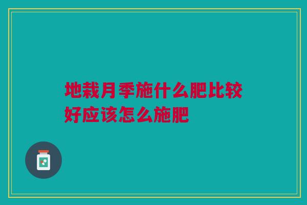 地栽月季施什么肥比较好应该怎么施肥 地栽月季施什么肥比较好应该怎么施肥
