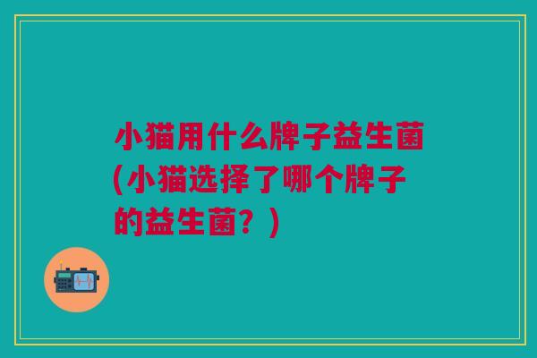 小猫用什么牌子益生菌(小猫选择了哪个牌子的益生菌?)