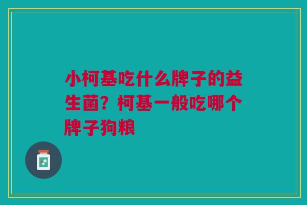 小柯基吃什么牌子的益生菌?柯基一般吃哪个牌子狗粮