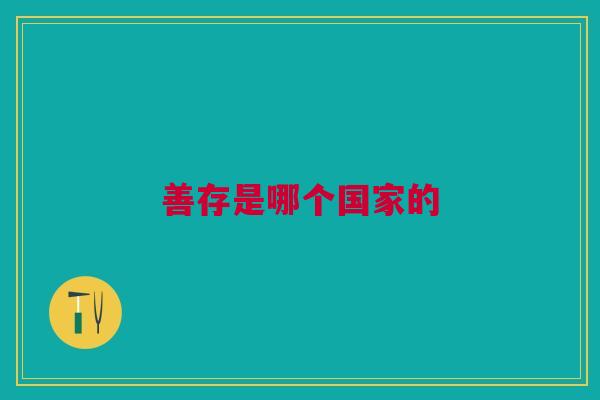 善存是哪个国家的