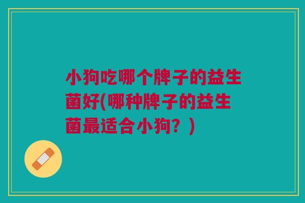 小狗吃哪个牌子的益生菌好(哪种牌子的益生菌最适合小狗?)