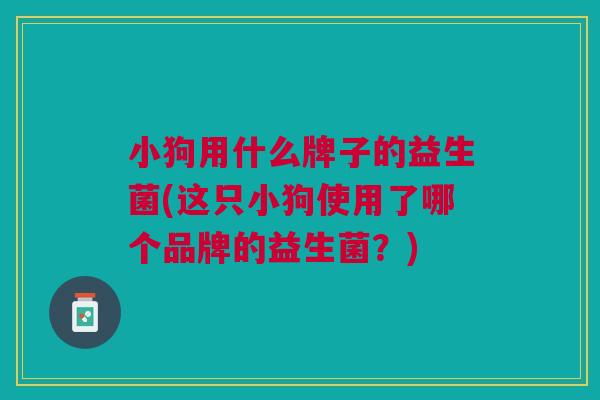 小狗用什么牌子的益生菌(这只小狗使用了哪个品牌的益生菌?)