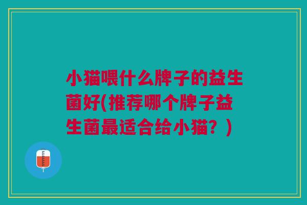 小猫喂什么牌子的益生菌好(推荐哪个牌子益生菌适合给小猫?) 小猫喂什么牌子的益生菌好(推荐哪个牌子益生菌适合给小猫?)