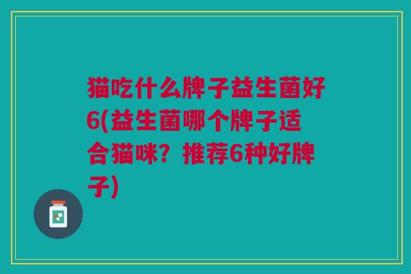 猫吃什么牌子益生菌好6(益生菌哪个牌子适合猫咪?推荐6种好牌子)