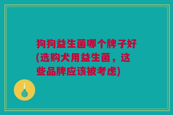 狗狗益生菌哪个牌子好(选购犬用益生菌，这些品牌应该被考虑)