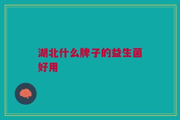 湖北什么牌子的益生菌好用