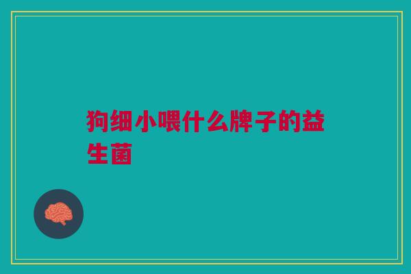 狗细小喂什么牌子的益生菌