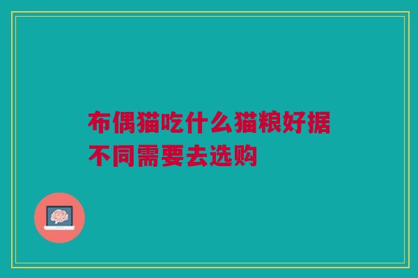 布偶猫吃什么猫粮好据不同需要去选购