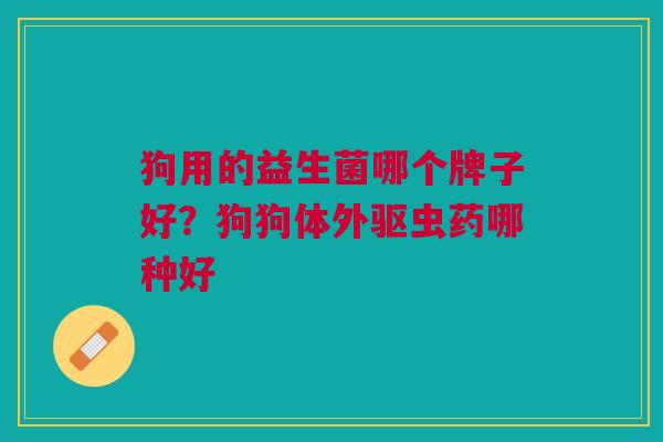 狗用的益生菌哪个牌子好?狗狗体外驱虫药哪种好 狗用的益生菌哪个牌子好?狗狗体外驱虫药哪种好