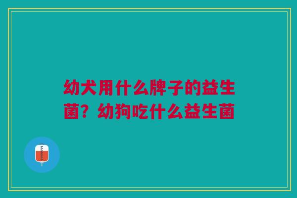 幼犬用什么牌子的益生菌?幼狗吃什么益生菌