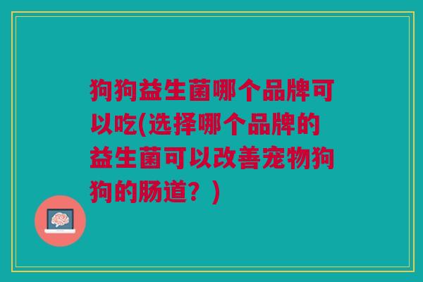 狗狗益生菌哪个品牌可以吃(选择哪个品牌的益生菌可以改善宠物狗狗的肠道?)