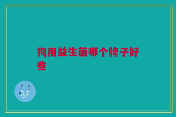 狗用益生菌哪个牌子好些