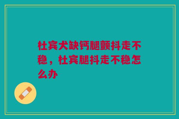 杜宾犬缺钙腿颤抖走不稳,杜宾腿抖走不稳怎么办 杜宾犬缺钙腿颤抖走不稳,杜宾腿抖走不稳怎么办