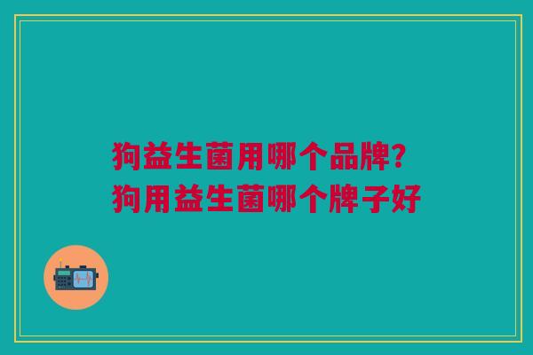 狗益生菌用哪个品牌？狗用益生菌哪个牌子好