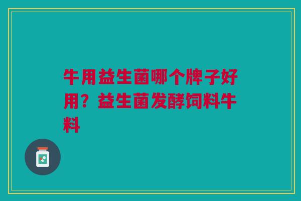 牛用益生菌哪个牌子好用?益生菌发酵饲料牛料
