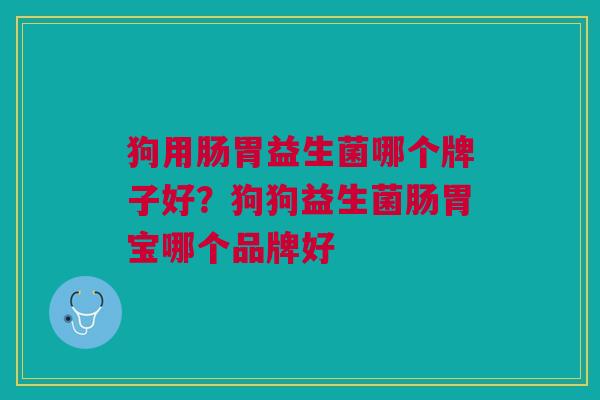 狗用肠胃益生菌哪个牌子好?狗狗益生菌肠胃宝哪个品牌好 狗用肠胃益生菌哪个牌子好?狗狗益生菌肠胃宝哪个品牌好