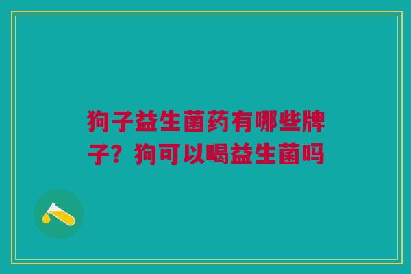 狗子益生菌药有哪些牌子？狗可以喝益生菌吗