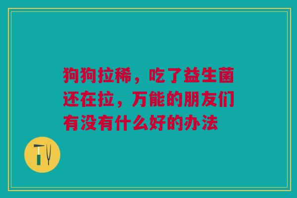 狗狗拉稀,吃了益生菌还在拉,万能的朋友们有没有什么好的办法