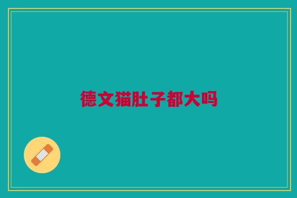 德文猫肚子都大吗