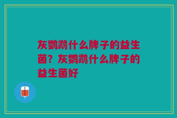 灰鹦鹉什么牌子的益生菌?灰鹦鹉什么牌子的益生菌好