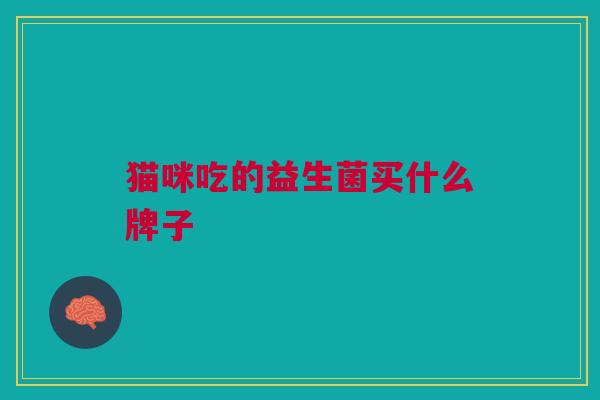 猫咪吃的益生菌买什么牌子