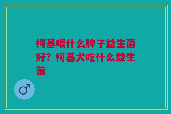 柯基喂什么牌子益生菌好?柯基犬吃什么益生菌