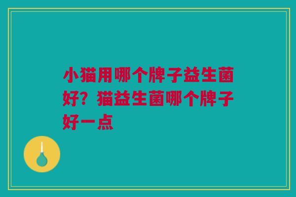小猫用哪个牌子益生菌好?猫益生菌哪个牌子好一点
