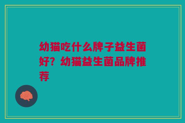幼猫吃什么牌子益生菌好?幼猫益生菌品牌推荐 幼猫吃什么牌子益生菌好?幼猫益生菌品牌推荐