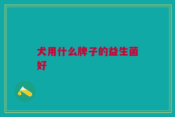犬用什么牌子的益生菌好
