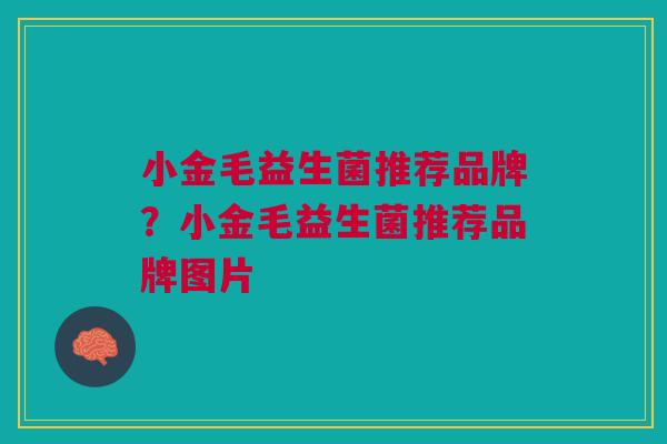 小金毛益生菌推荐品牌?小金毛益生菌推荐品牌图片