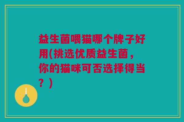 益生菌喂猫哪个牌子好用(挑选优质益生菌,你的猫咪可否选择得当?)