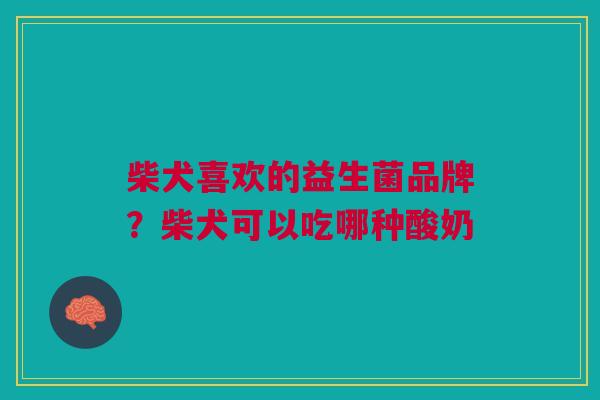柴犬喜欢的益生菌品牌?柴犬可以吃哪种酸奶