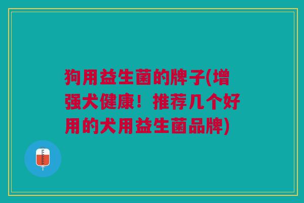 狗用益生菌的牌子(增强犬健康!推荐几个好用的犬用益生菌品牌)