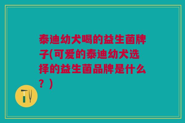 泰迪幼犬喝的益生菌牌子(可爱的泰迪幼犬选择的益生菌品牌是什么?) 泰迪幼犬喝的益生菌牌子(可爱的泰迪幼犬选择的益生菌品牌是什么?)