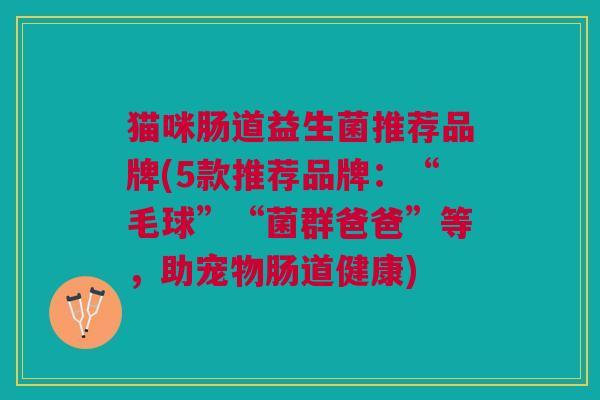 猫咪肠道益生菌推荐品牌(5款推荐品牌:“毛球”“菌群爸爸”等,助宠物肠道健康)